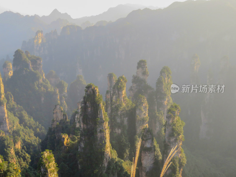 中国湖南张家界国家森林公园旅游风光