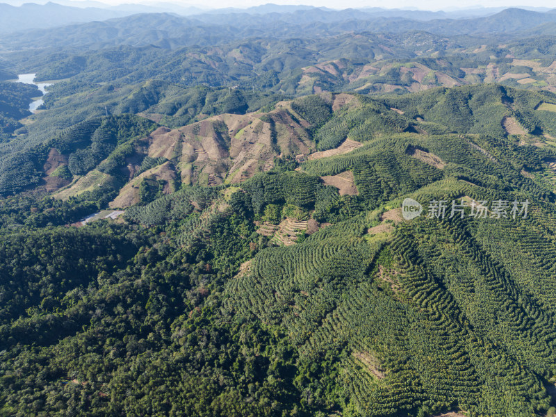 航拍绿意盎然的连绵起伏的山地景色