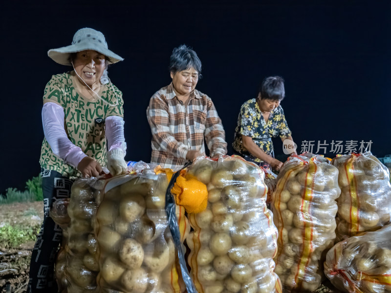 农村农业农民土豆种植收获丰收