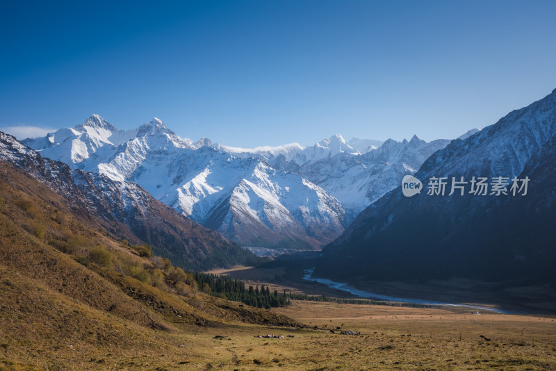 新疆夏塔雪山草原山水自然风景