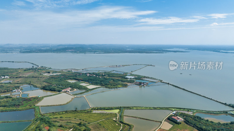 湖北省武汉市江夏区鲁湖