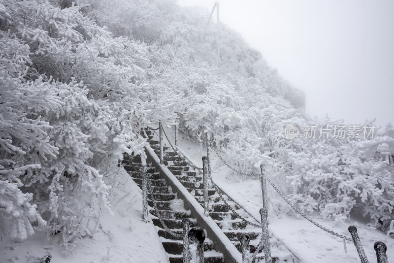 寒冷冬天大雪登山台阶