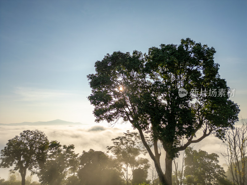 航拍山林和晨曦云海