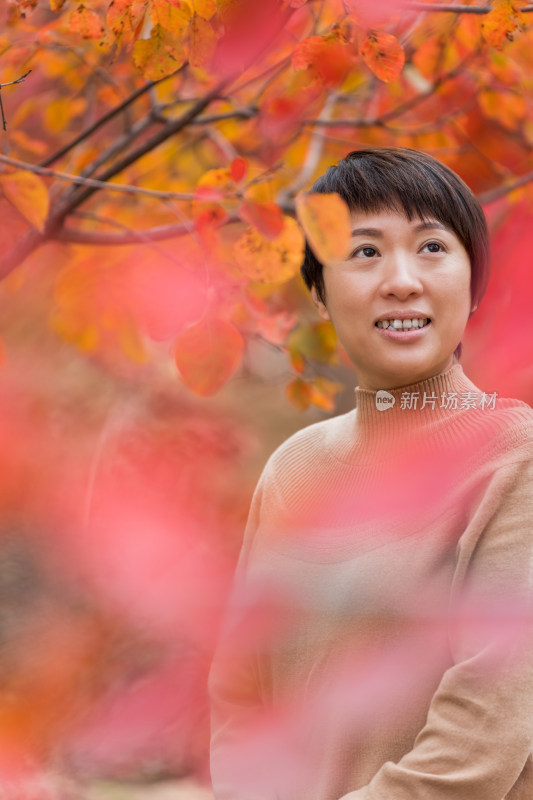北京秋天站在枫树林中欣赏秋色美景的女性