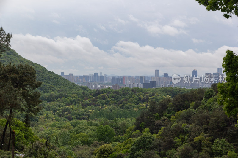 山坡茶园与绿树景观