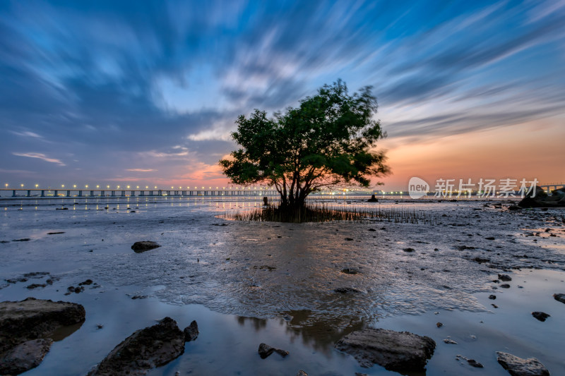 深圳宝安西湾红树林晚霞美景