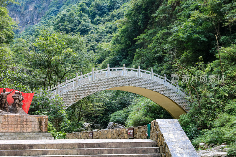 湖北宜昌三峡竹海风景区，自然风光，竹海