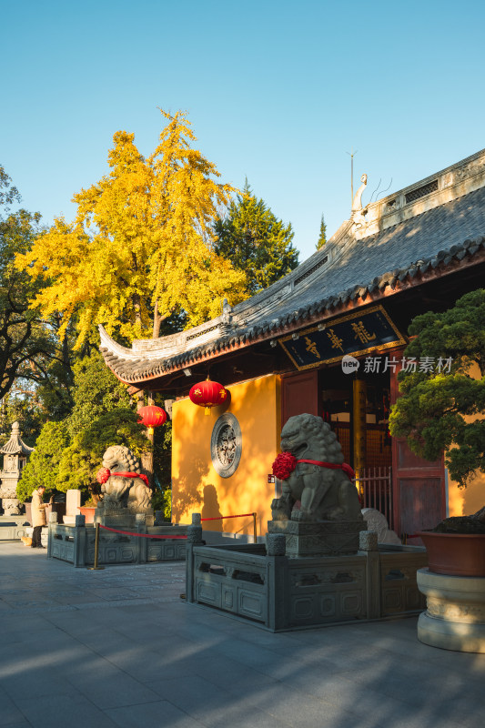 龙华寺航拍 上海 徐汇 秋天 寺庙