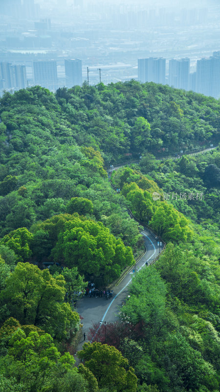 杭州半山国家森林公园