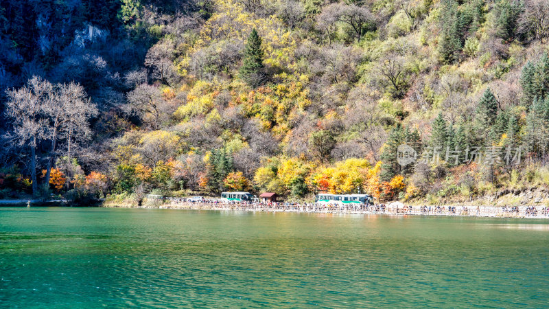 四川阿坝理县毕棚沟景区的秋色正浓