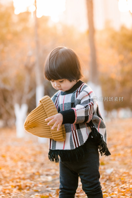 秋天在落满黄叶的公园玩耍的中国女童