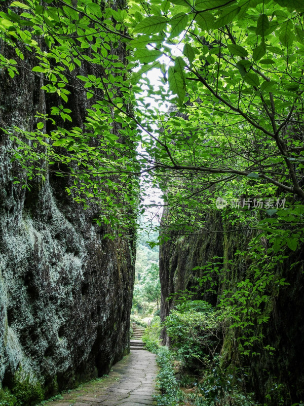 武夷山风景区