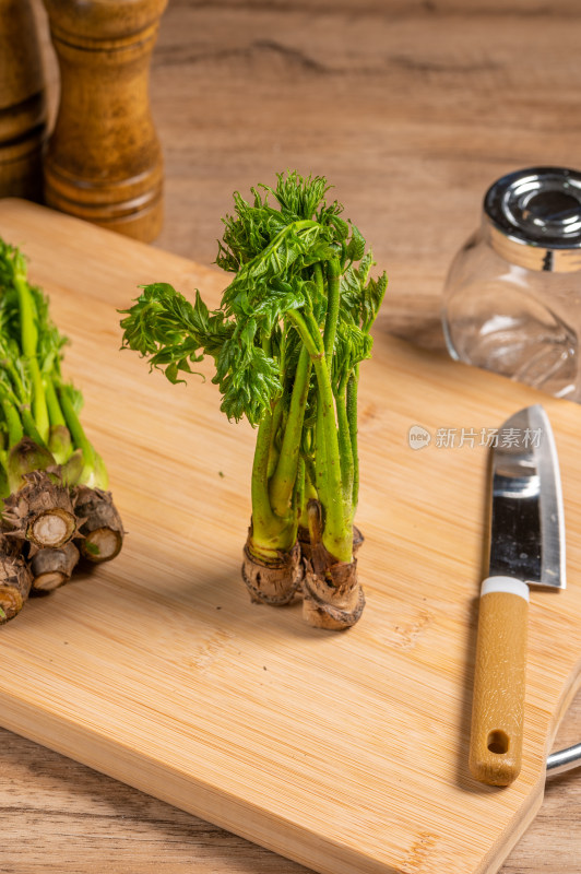 新鲜野菜刺嫩芽