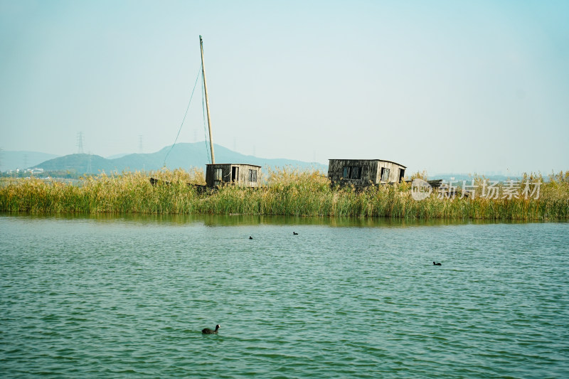 太湖湖滨国家湿地风光