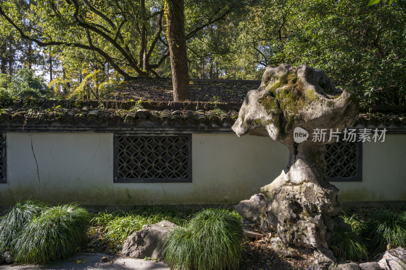 杭州西湖风景区曲院风荷风景