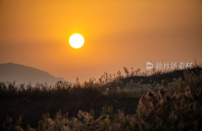 日落时分远山与植物景观