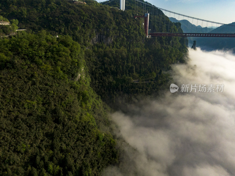 高山云海