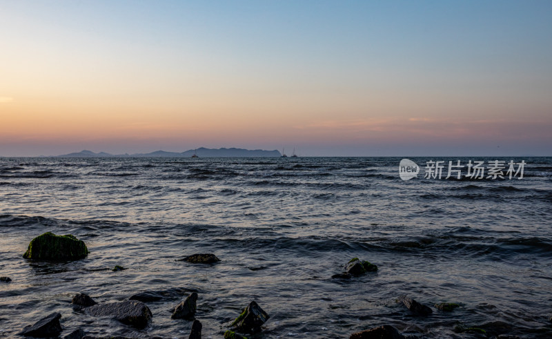 山东烟台蓬莱阁八仙过海景区海天之间海鸥