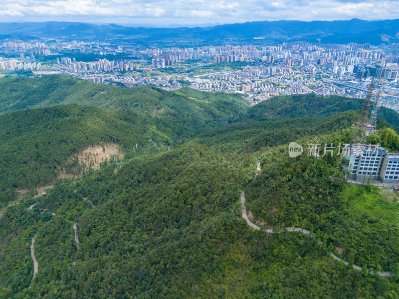 祖国大好河山绿色森林植物航拍图