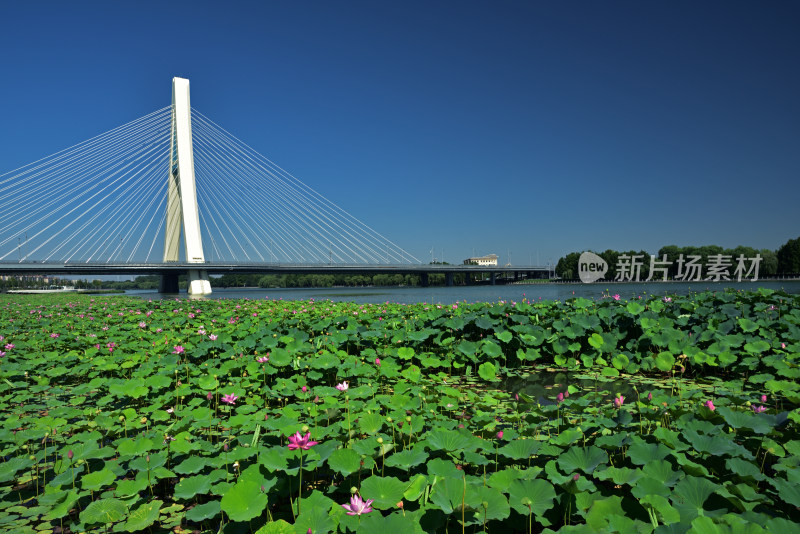 河北省石家庄市太平河