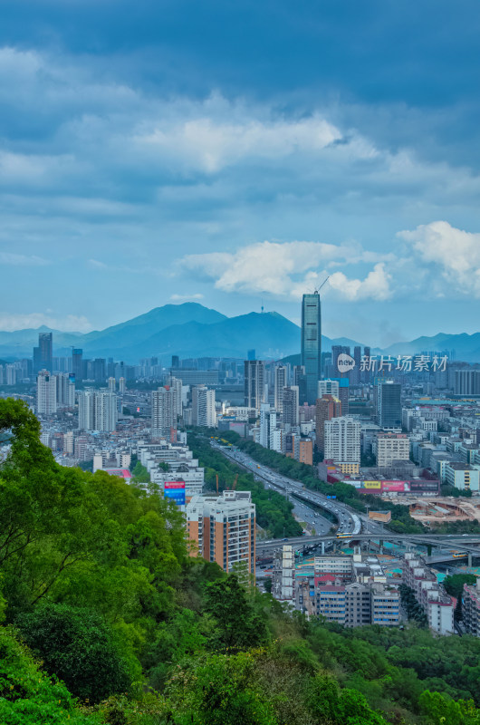 深圳笔架山公园俯瞰罗湖区摩天大楼建筑群