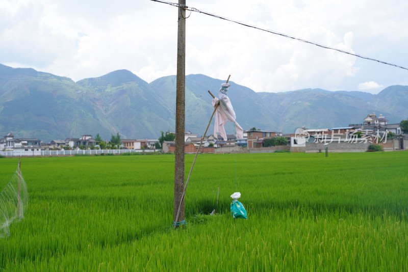 田野乡村与远山风景