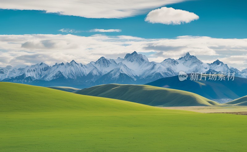 森林高山草原风景