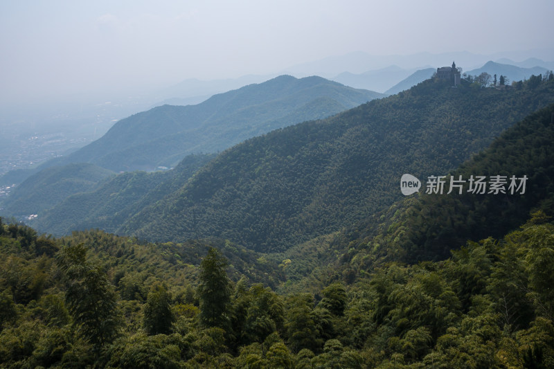 清新自然的竹林风景