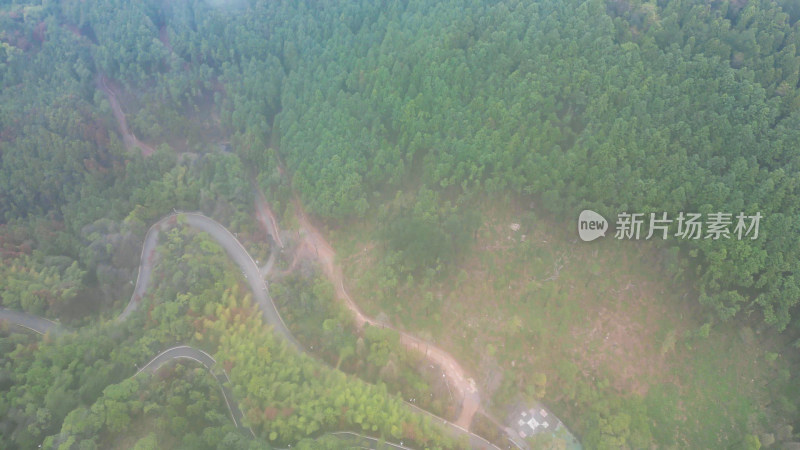 大自然绿色植物森林蜿蜒盘山公路云雾缭绕