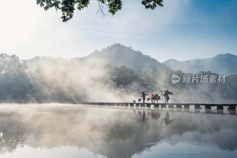 丽水 缙云仙都 鼎峰湖 风景 牵牛 云雾