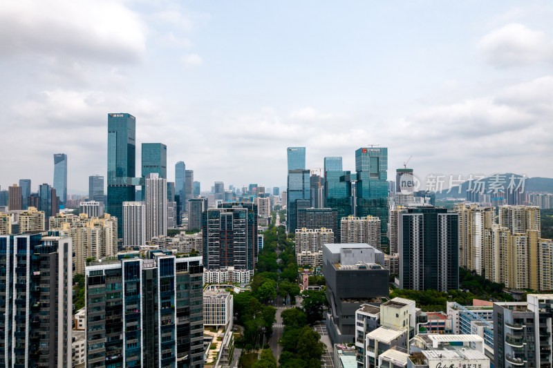 深圳粤海街道建筑群