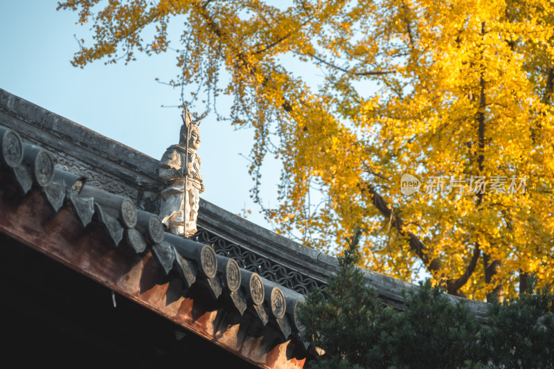 龙华寺航拍 上海 徐汇 秋天 寺庙