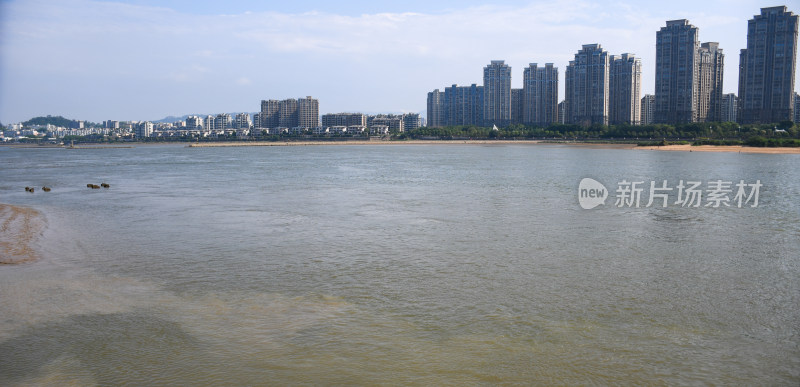 城市高楼旁水域的自然景观