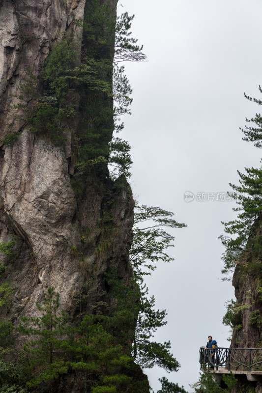 云海中的大明山