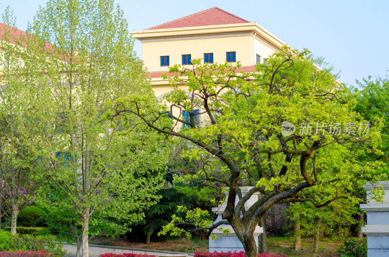 青岛中山公园的夏季