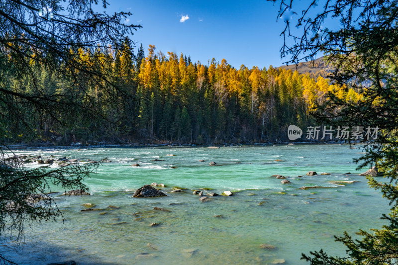 新疆北疆阿勒泰喀纳斯风景区喀纳斯湖