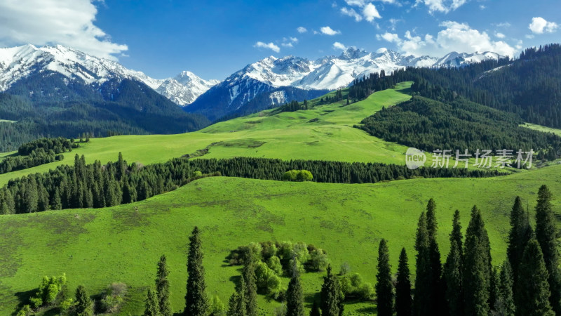 航拍草原雪山森林自然风光