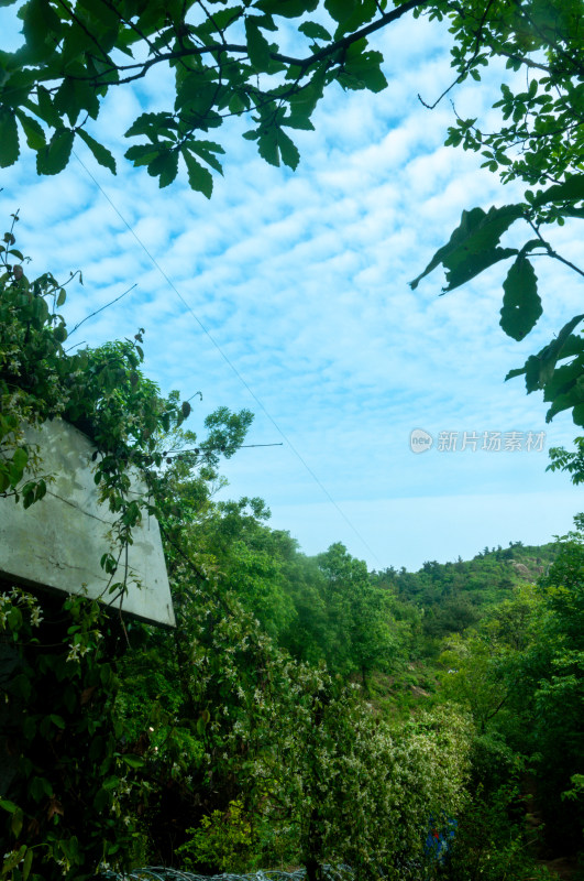 山中的自然风景