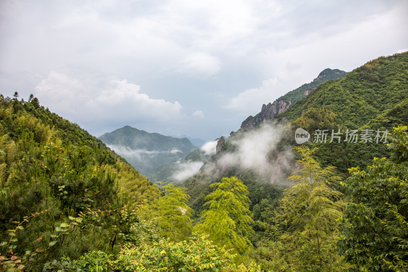 山间林海