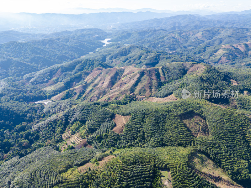 航拍绿意盎然的连绵起伏的山地景色