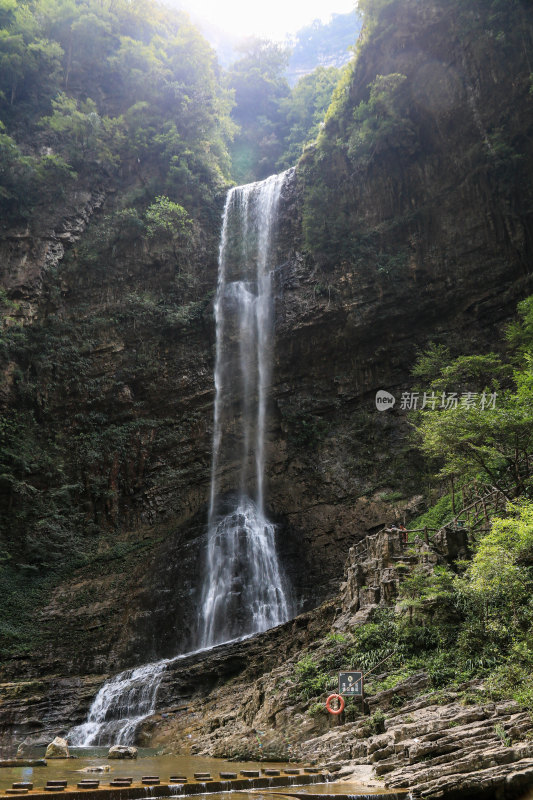 湖北宜昌三峡竹海风景区，自然风光，竹海