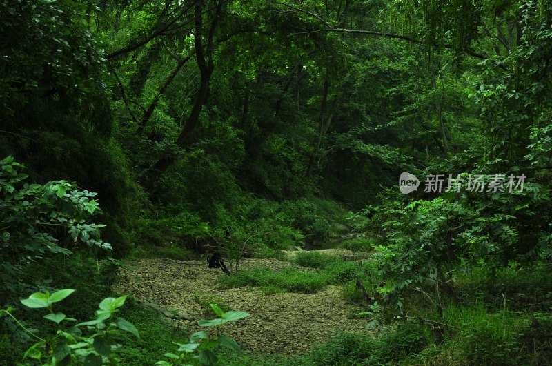 长沙风景，自然风光，长沙城景