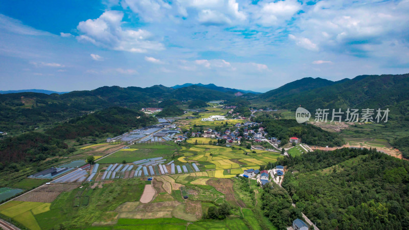 美丽乡村田园农业种植大棚航拍图