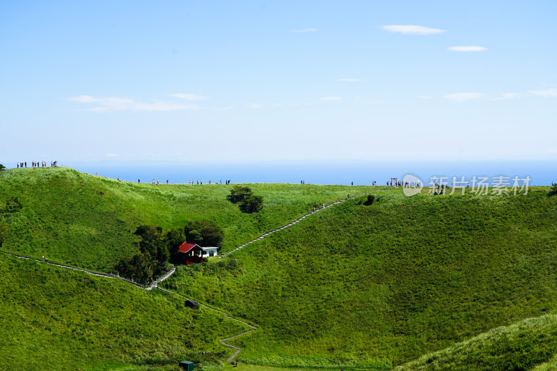 日本静冈县伊东市大室山仙人掌动物园