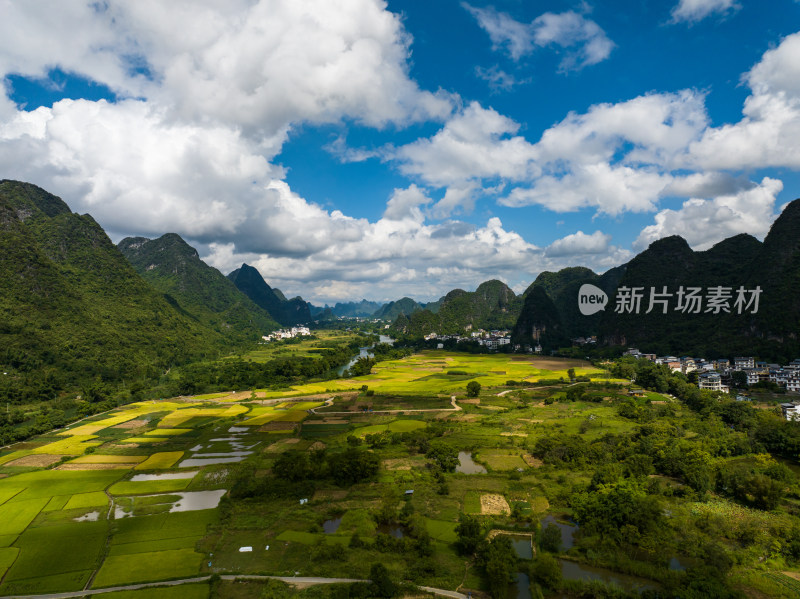 桂林阳朔十里画廊遇龙河山水风光 金秋稻田