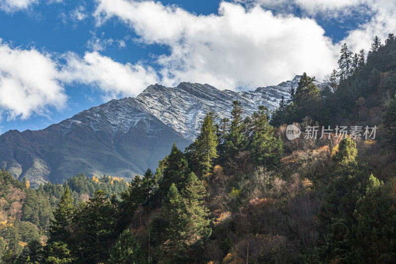 秋季五彩森林山峰云雾