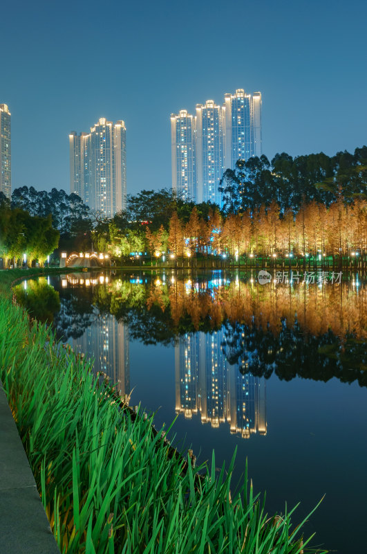 佛山千灯湖南海活水公园落羽杉红叶夜景灯光