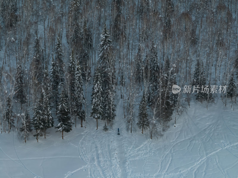 新疆北疆阿勒泰禾木冬季雪景童话世界航拍