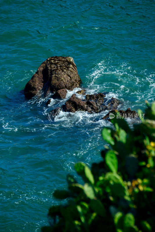 海洋的风景