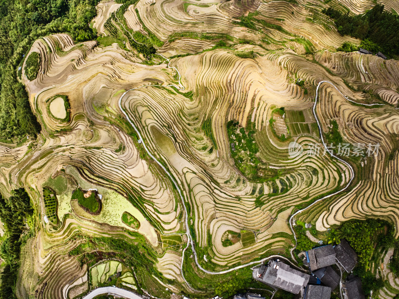 桂林龙脊梯田